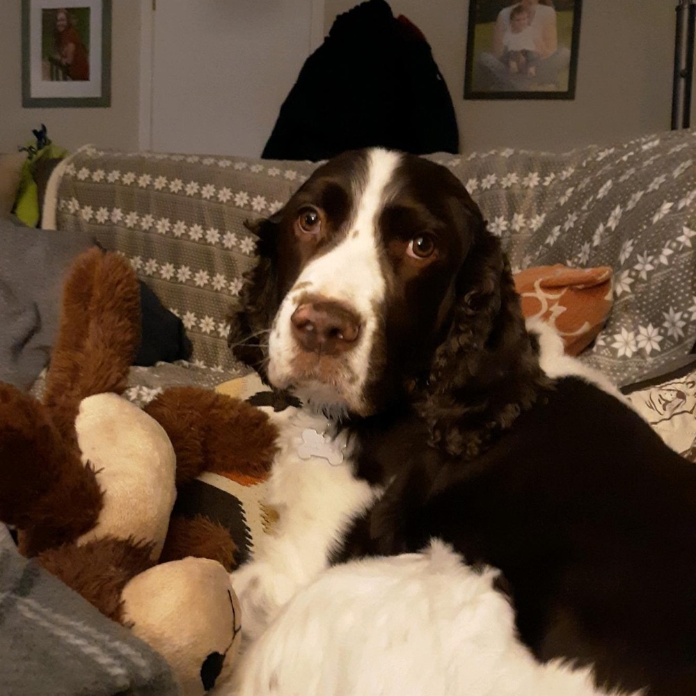 Meet your Posher, Maddy